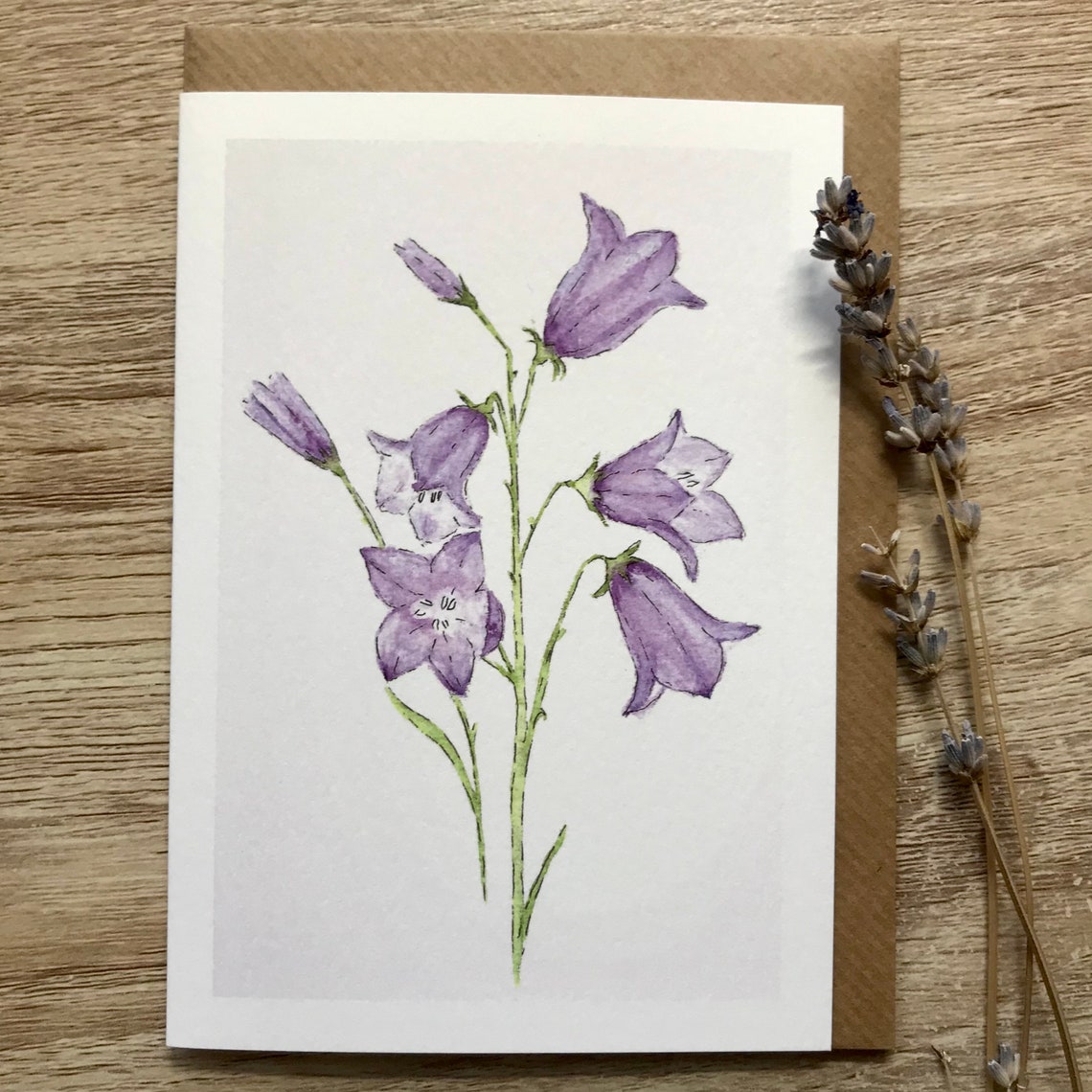 Bellflower Card Art Print