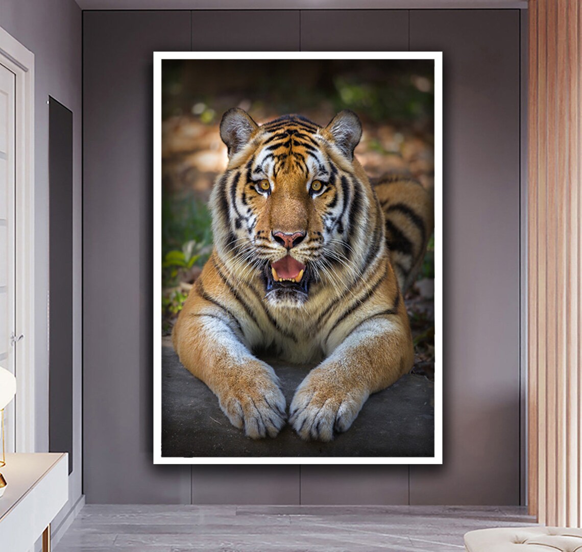 Wild Tiger Portrait Mouth Open Intense Wildlife Photography Poster - Image 5