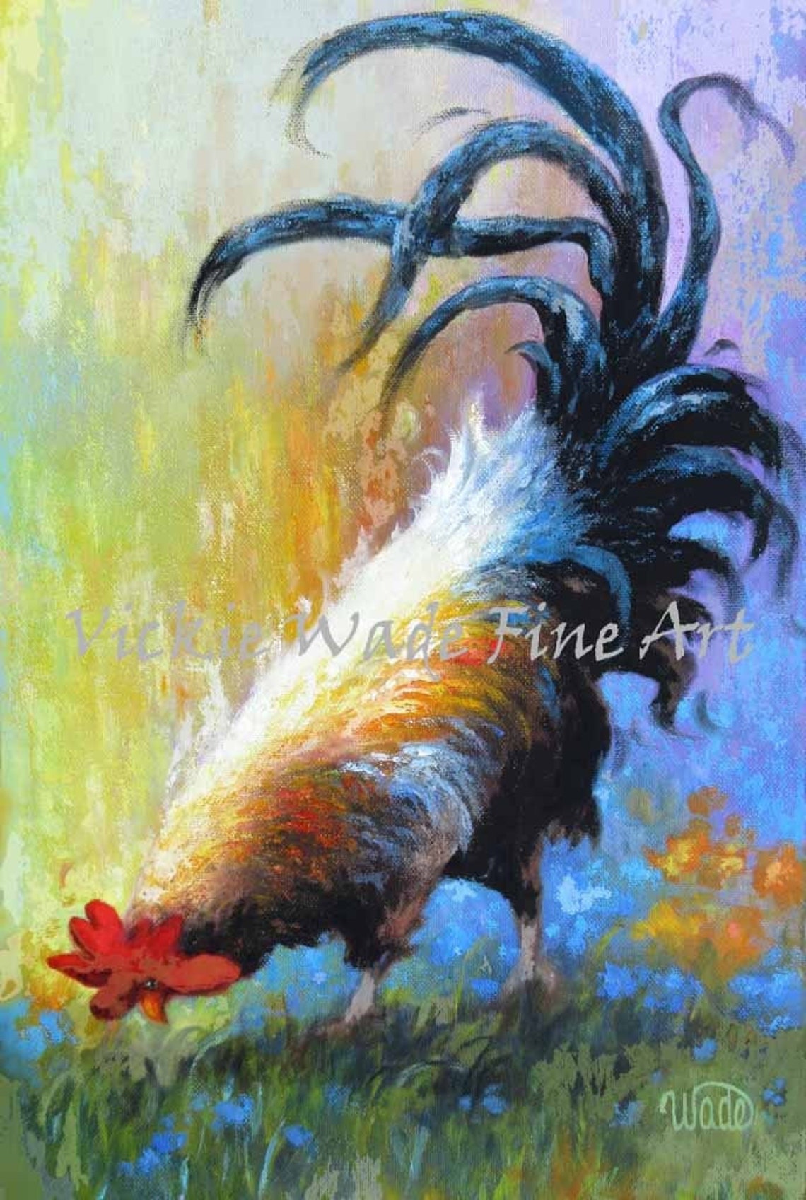 Colorful Rooster Pecking In Sunlit Pasture With Blue Tail Poster