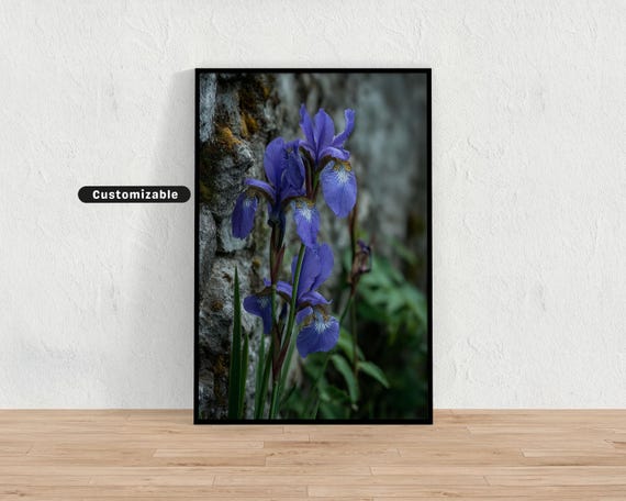 Blue Iris Flowers Growing Near Stone Temple Wall Japanese Art Print Zen Asian Decor