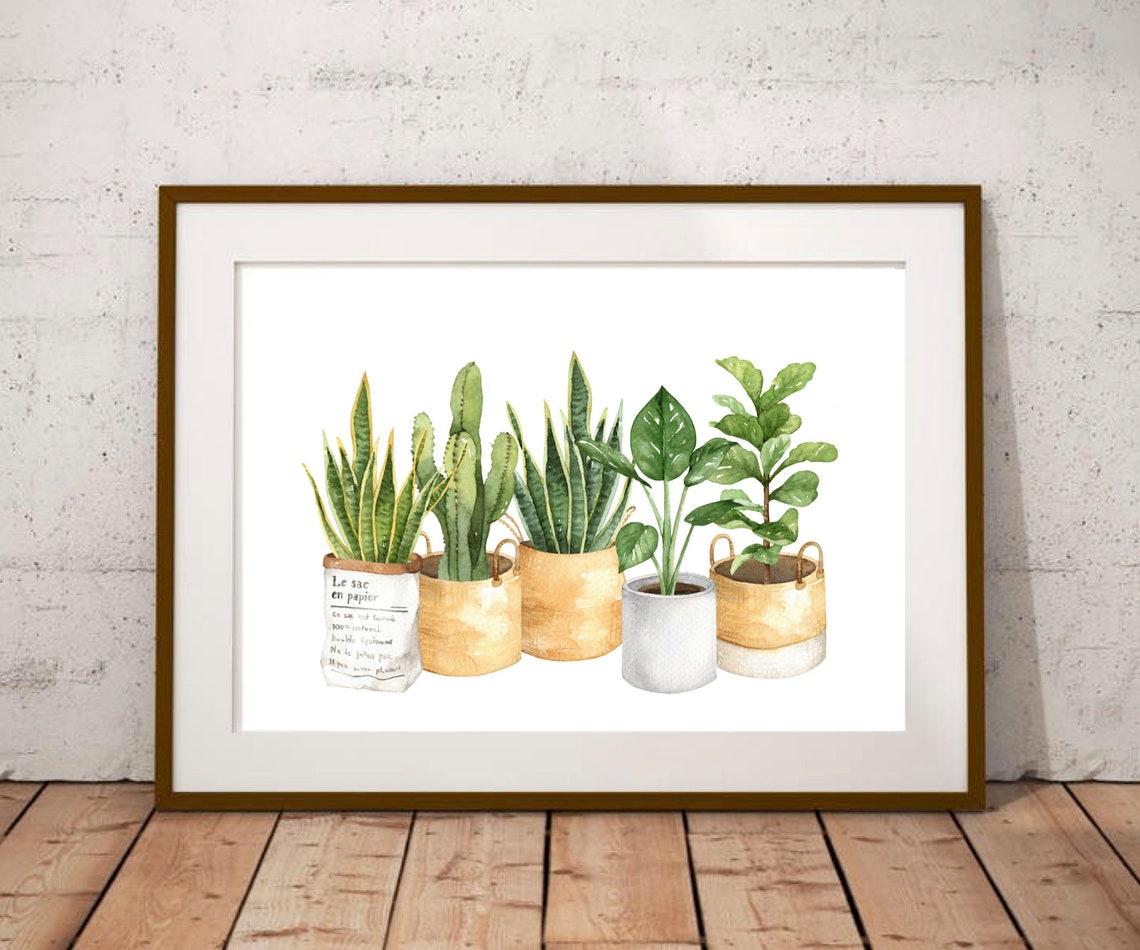 Watercolor Houseplants Potted Snake Plants Botanical Art Poster