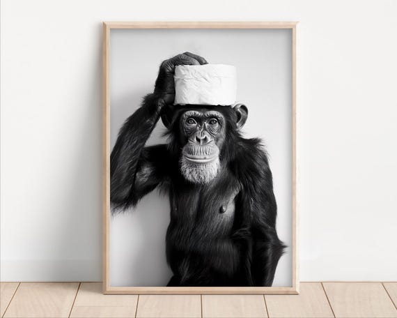 Monkey With Toilet Paper On Poster Or Canvas Funny Bathroom Wall Art Kids Laundry Room Decor Animal Humor Photo Cute Print