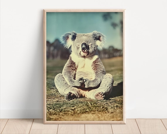 Meditating Koala Zen Yoga Funny Retro Wildlife Photography Wall Art