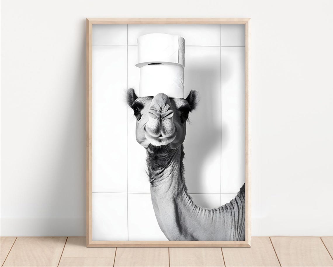 Camel Balancing Toilet Paper Rolls Funny Bathroom Animal Poster