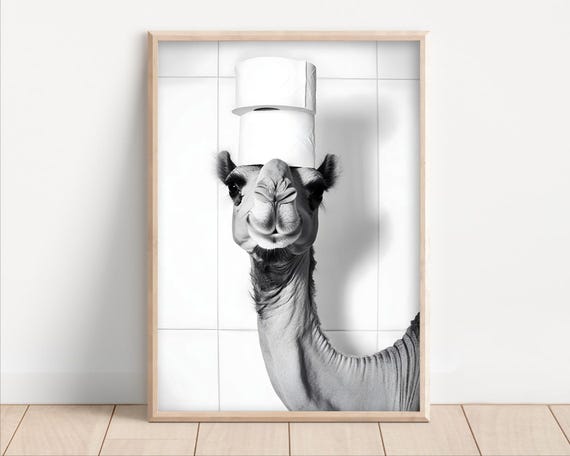 Camel With Toilet Paper On Poster Or Canvas Funny Bathroom Wall Art Kids Laundry Room Decor Animal Humor Photo Cute Print
