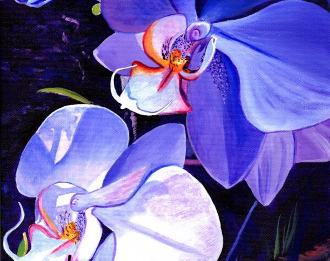 Orchids of Kauai Hawaiian Art Print, Blue Purple
