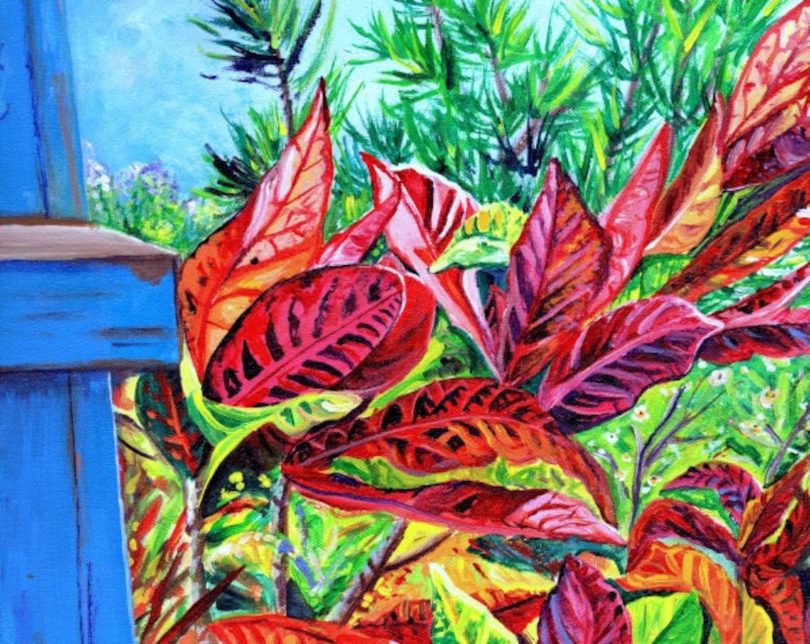 Croton Leaves Red Green Tropical Foliage Acrylic Art Print Hawaii