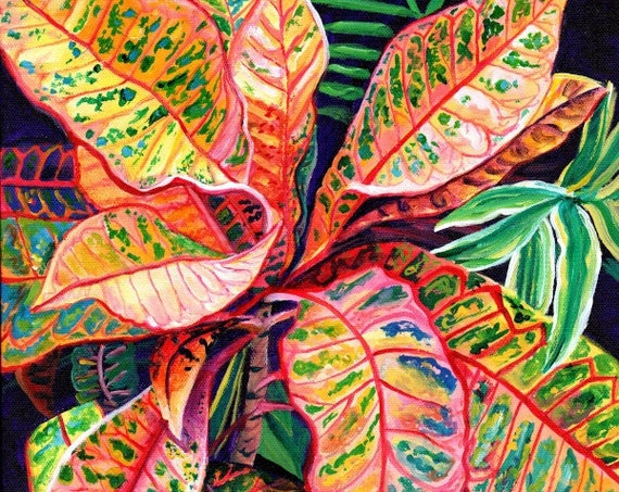 Tropical Croton Leaves Art Print, Hawaii Wall Art