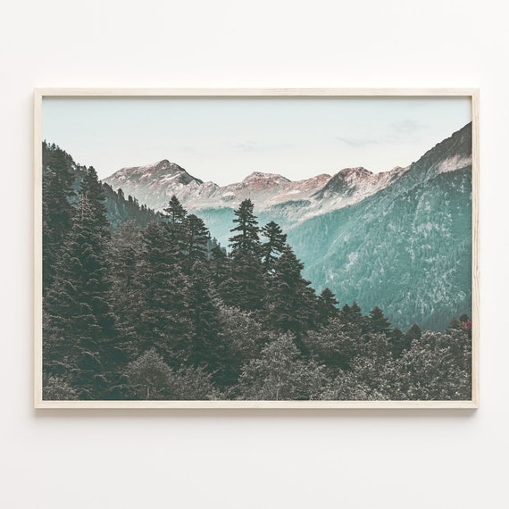 Pine Tree Forest And Mountains Colorful Poster Print Pinetree Forest Photo Art Art Boho Decor Colorful Wall Art C18 268