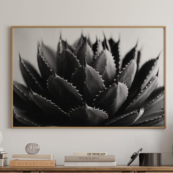 Black And White Agave Wall Art Minimal Desert Plant Photography