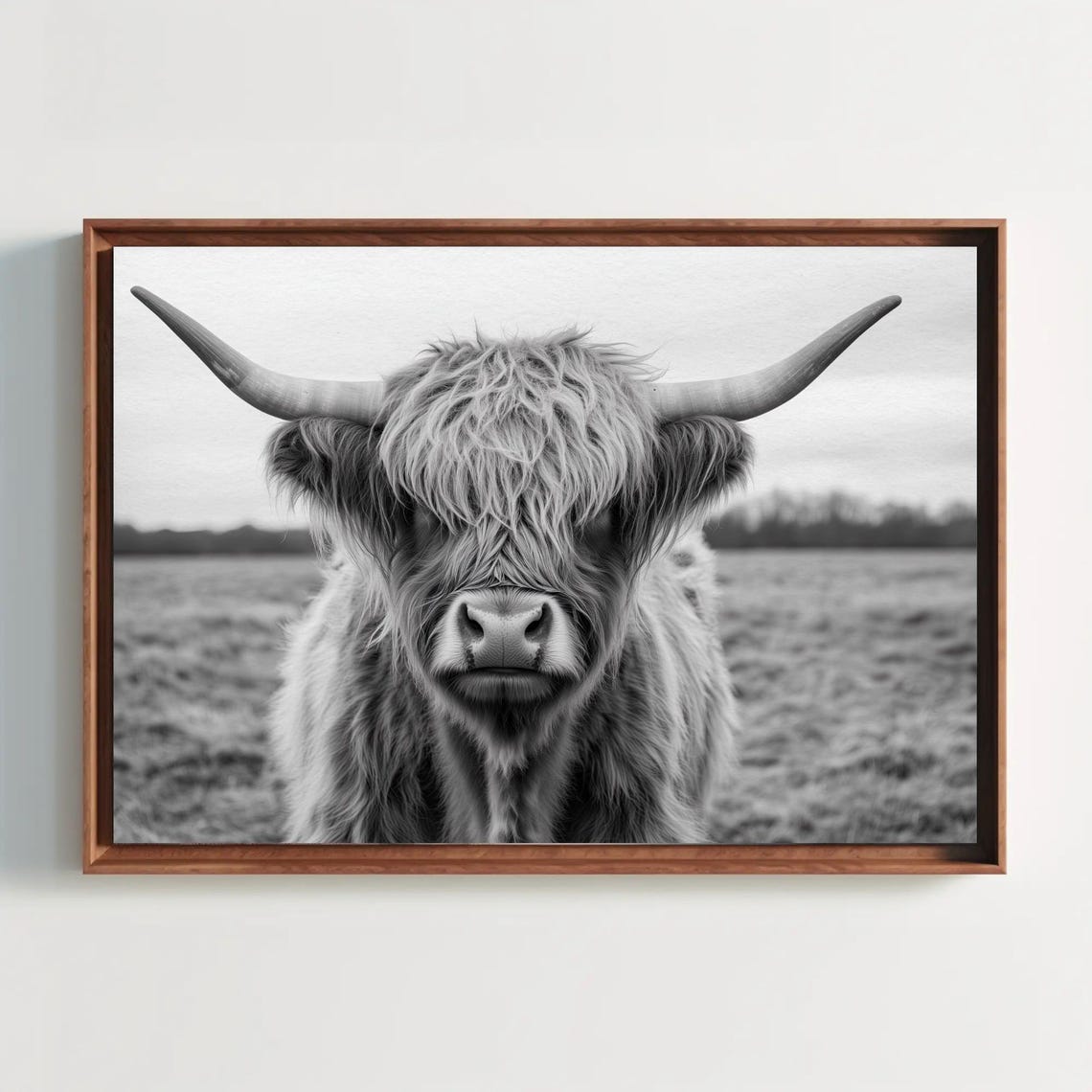 Highland Cow in a Misty Field Black and White Photography Poster