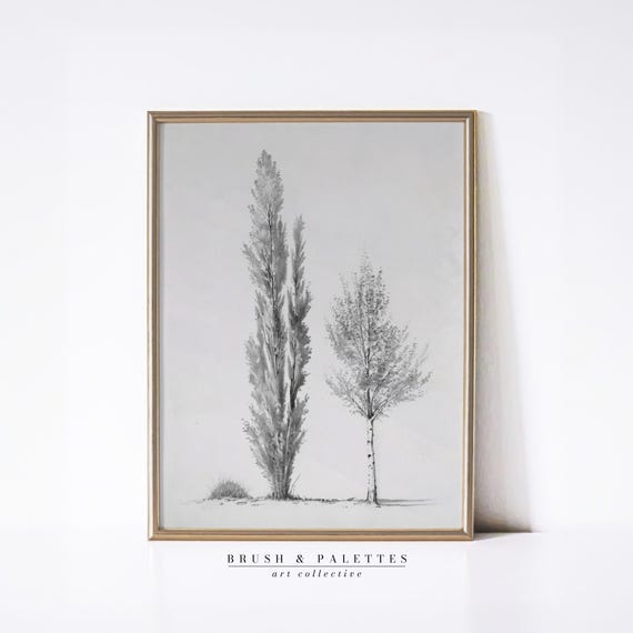 Poplar Tree Sketch Print Black White Nature Drawing Wall Decor Minimalist Landscape Art For Country Farmhouse Homes