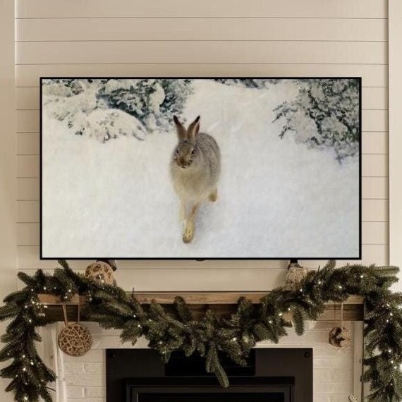 Winter Hare Moody Winter 4k Tv Art For Frame Tv Farmhouse Decor Art For Frame Tv Instant