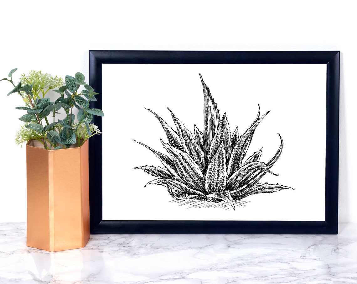Agave Succulent Ink Sketch Black White Desert Plant Line Print