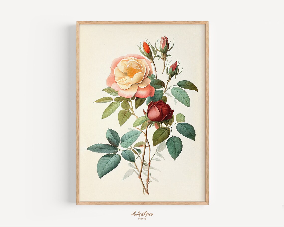 Vintage Rose Print, Minimalist Botanical Art Print