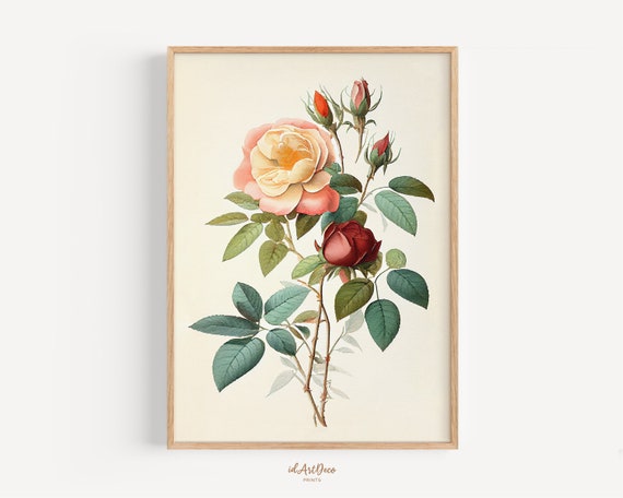 Vintage Rose Print, Minimalist Botanical Art Print