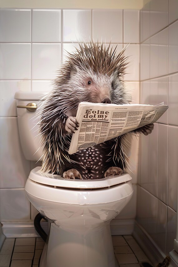 Funny Porcupine Sitting On Toilet Reading Newspaper Close Up Poster