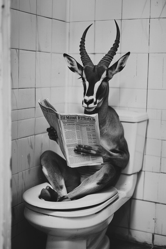 Impala Reading Newspaper on Toilet Funny Bathroom Humor Poster