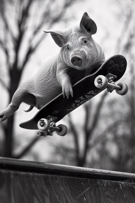 Pig Skateboarding Funny Animal Wall Art Pig On Skateboard Funny Pig Photo Print Funny Animal Photography Home Ai Created
