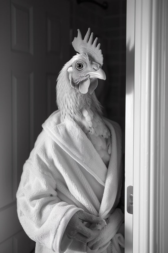 Chicken In A Bathrobe Funny Bathroom Wall Art Quirky Animal Art Funny Chicken In Bath Humor Print Home Ai Wall Art Prints
