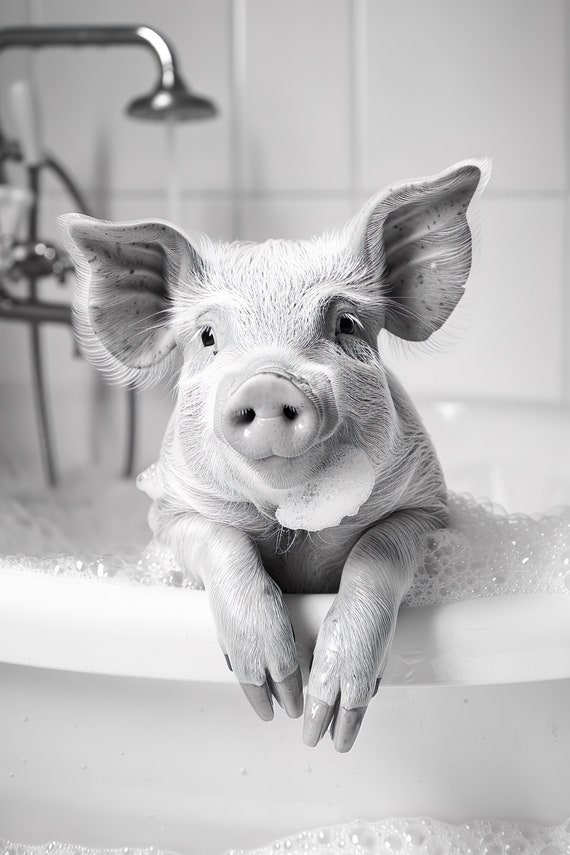 Pig In The Bathtub Funny Animal Photograph Pig Taking A Bubble Bath Ai Animal Print Funny Bathroom Wall Art Home