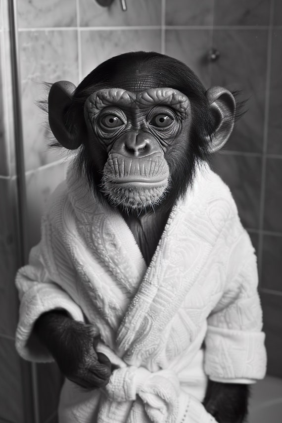 Monkey In A Bathrobe Funny Bathroom Art Print