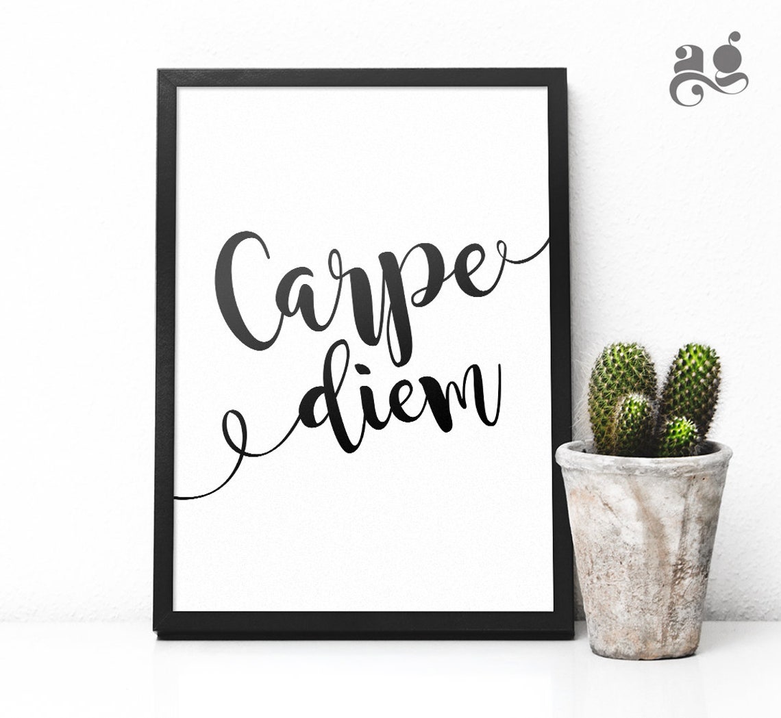 Carpe Diem Seize the Day Elegant Latin Script Motivational Poster - Image 2
