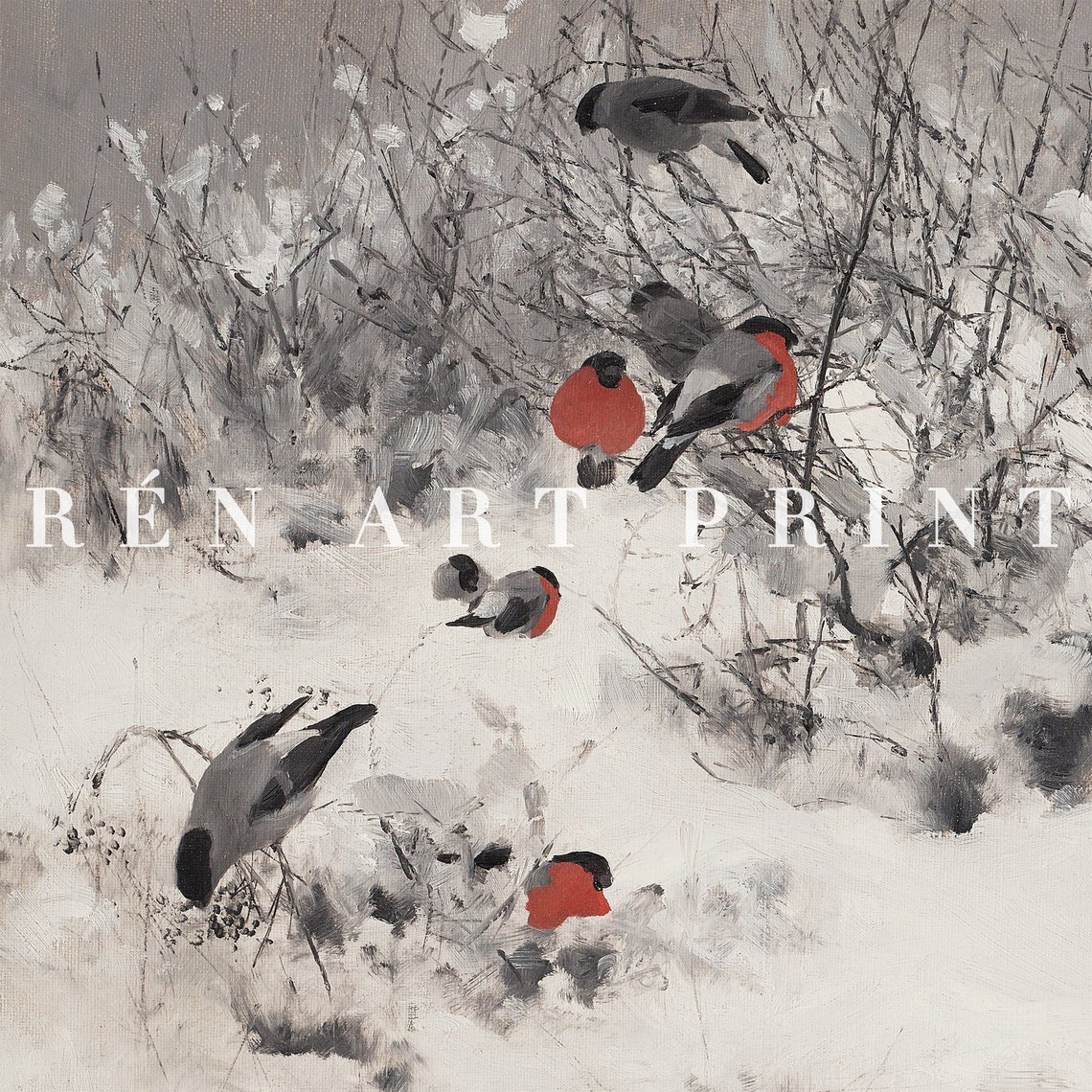 Bullfinch Birds Snowy Branches Winter Wildlife Vintage Print - Image 3