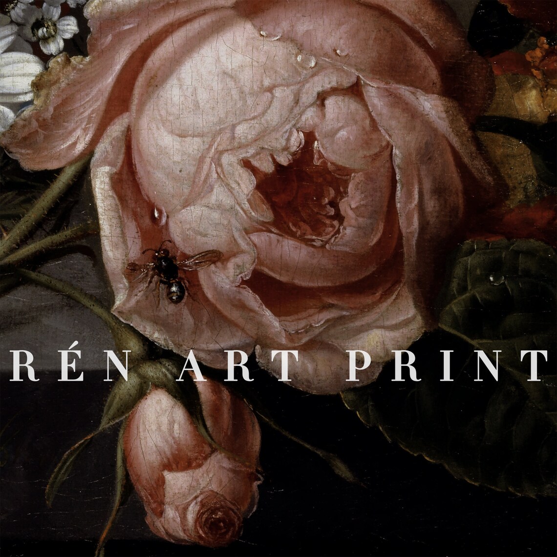 Moody Vintage Flower Print, Antique Rose Still Life - Image 3