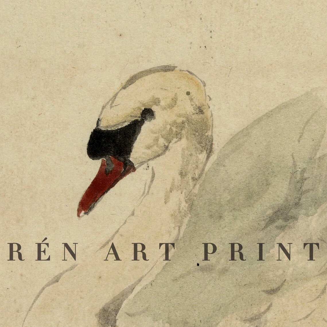 Vintage Swan Print, Antique Nursery Wall Decor - Image 3