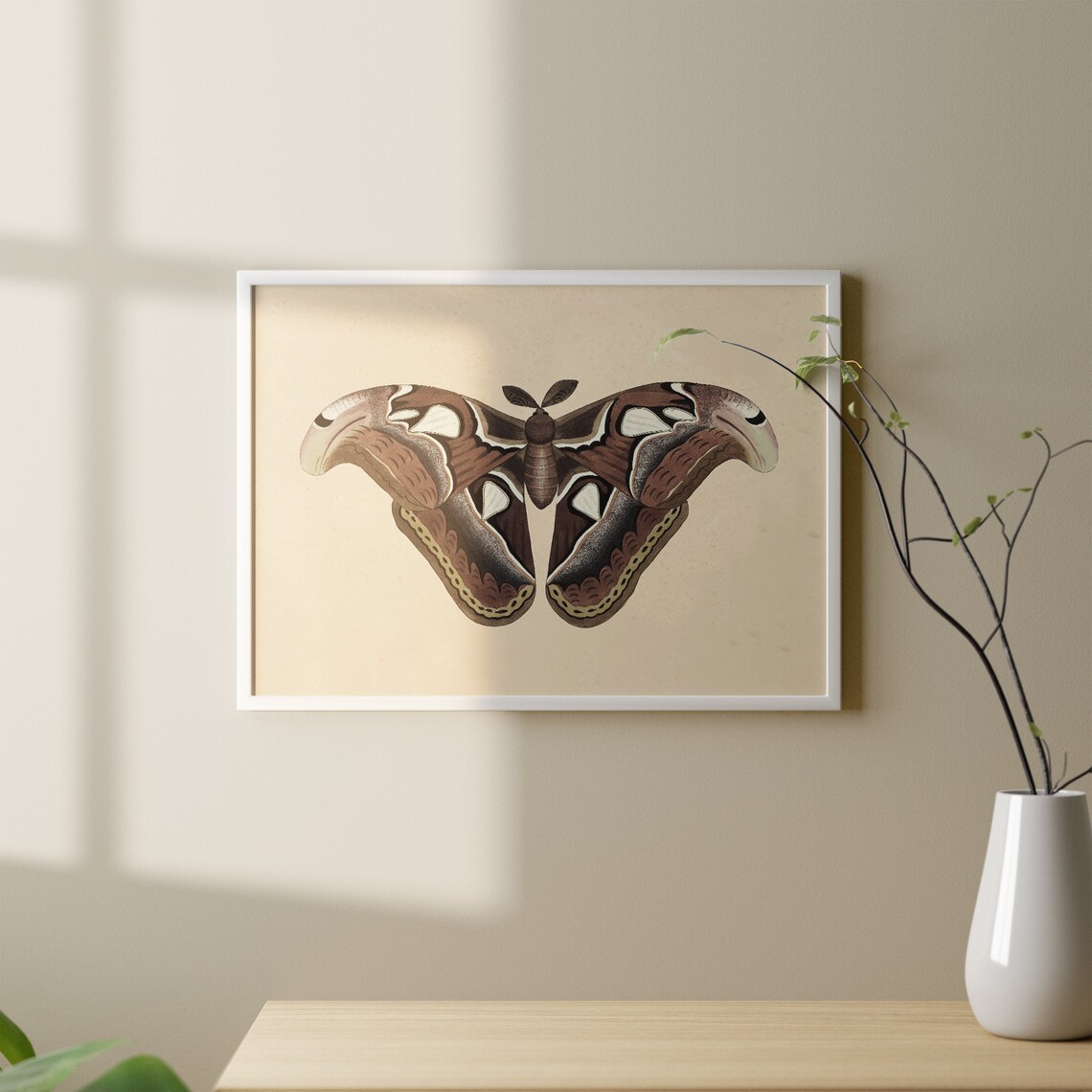 Vintage Butterfly Art Print, Moody Rustic Decor - Image 2