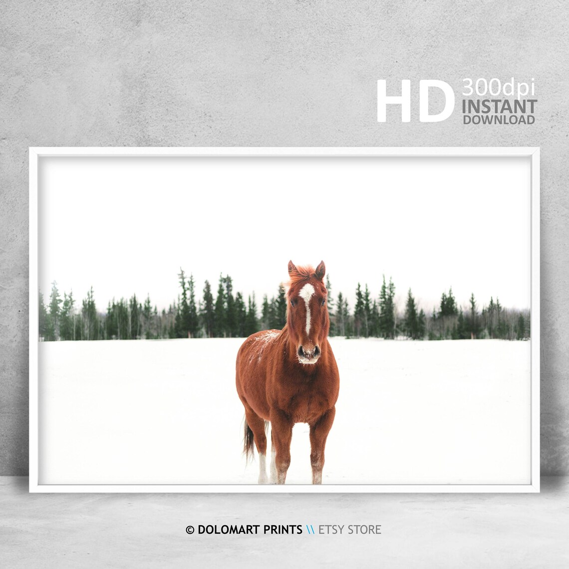 Horse Print, Scandinavian Equine Photography Art