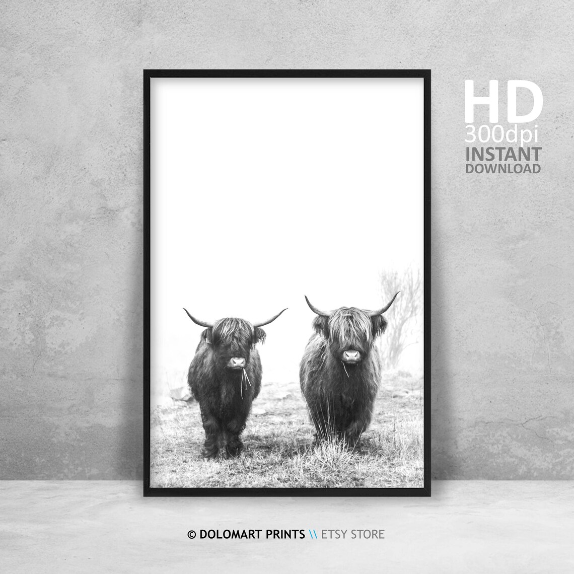 Highland Cow Rustic Farm Animal Art Print - Image 4