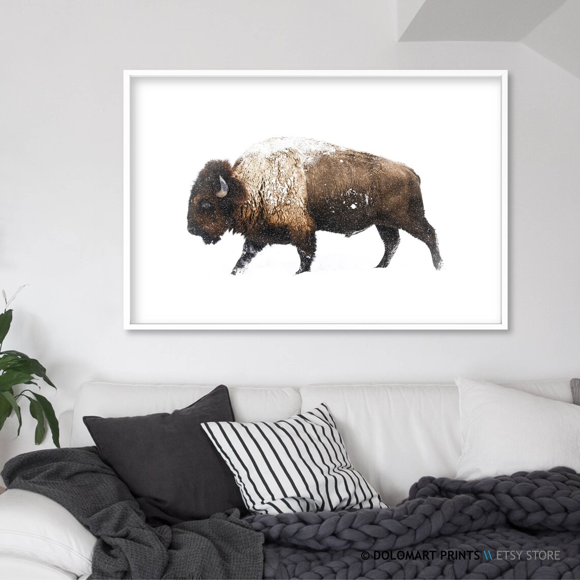 Bison Buffalo Wilderness Photography Art Print - Image 2