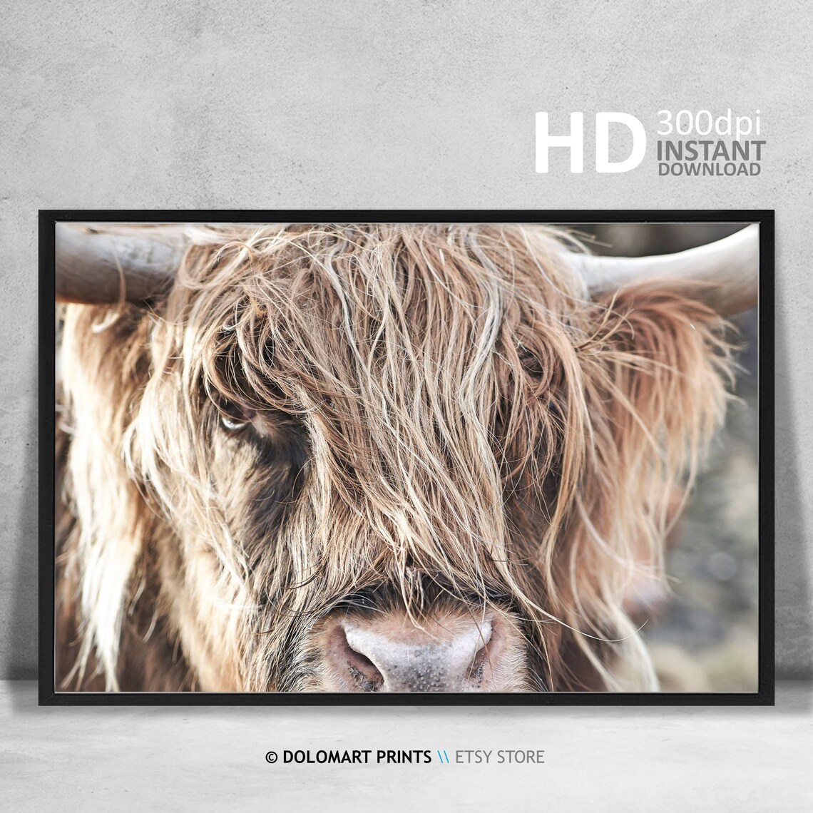 Highland Cow Photography Print, Rustic Nursery Decor - Image 4