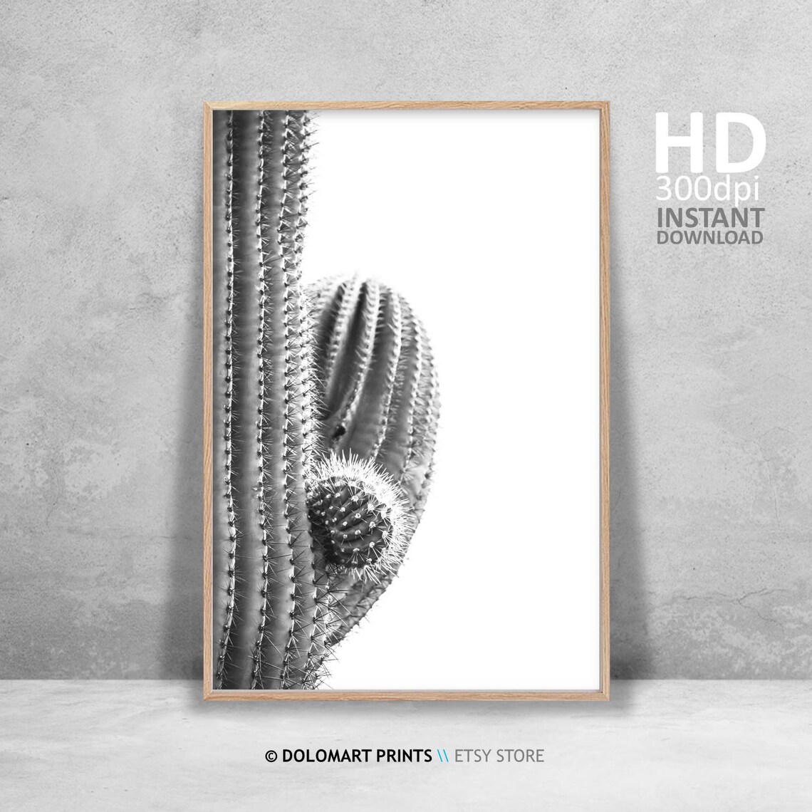 Cactus Print, Southwestern Rustic Farmhouse Art Print - Image 4