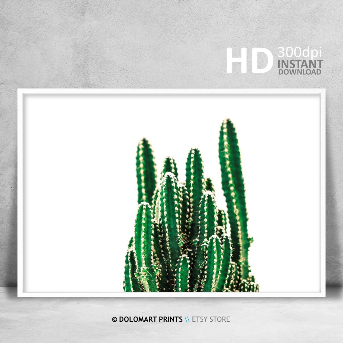 Green Cactus Cluster White Background Botanical Photo Poster