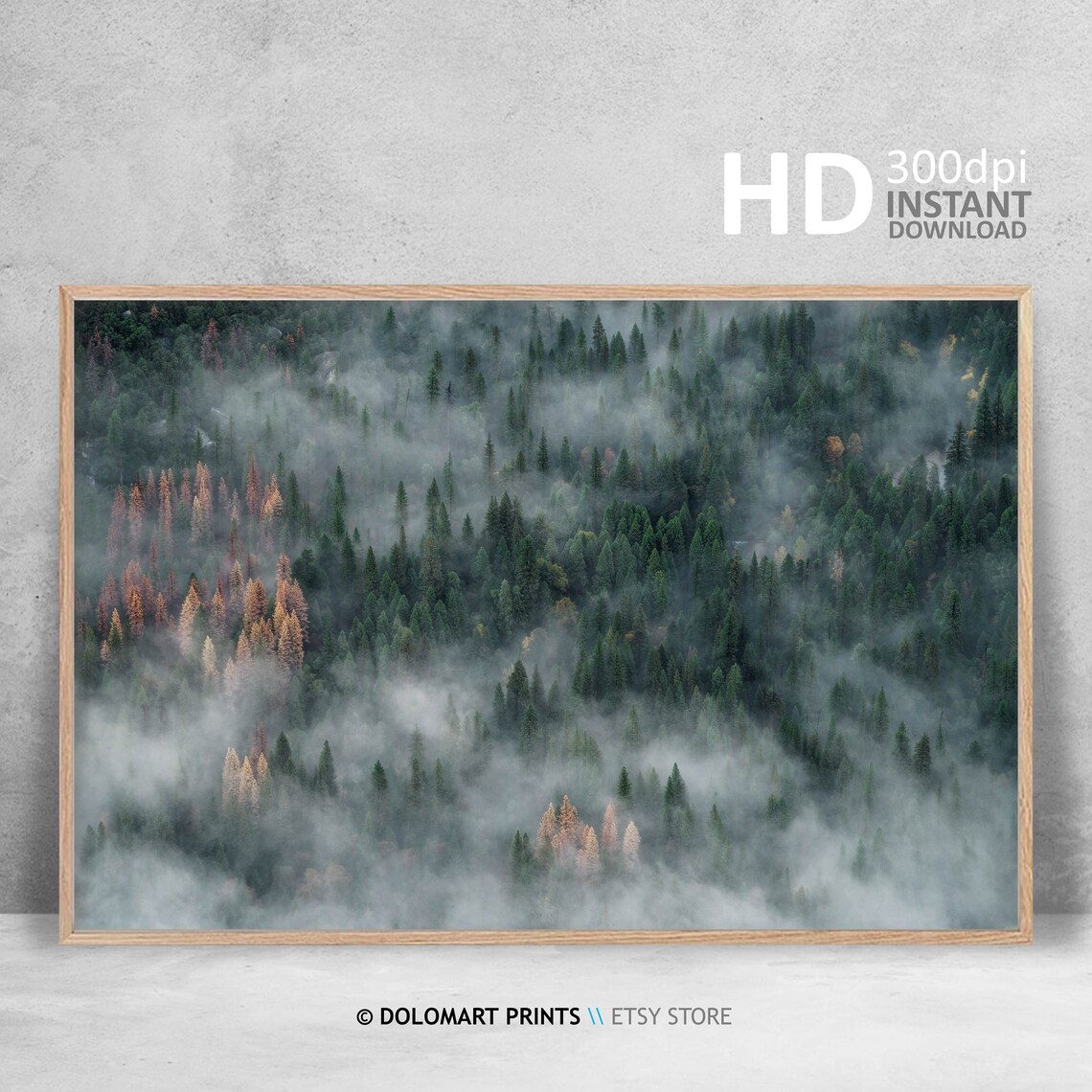 Aerial View Of Foggy Evergreen Forest In Mist Nature Landscape Poster - Image 4