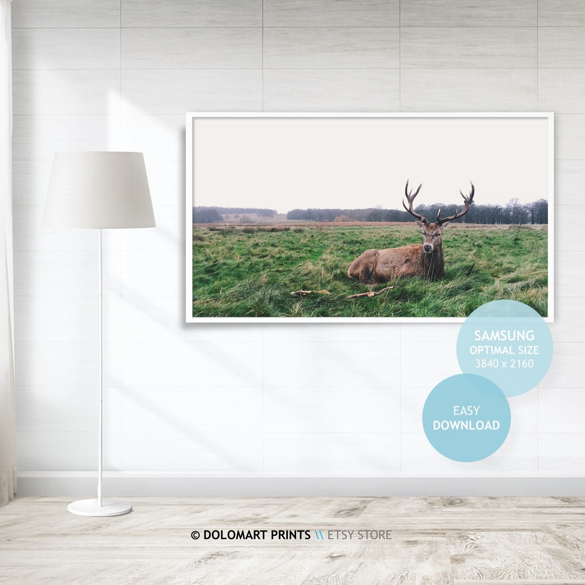 Majestic Red Deer Stag Antlers Resting Green Meadow Frame TV Poster - Image 4