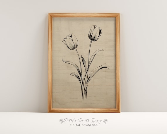Tulip Ink Sketch on Vintage Book Page Botanical Line Art Poster