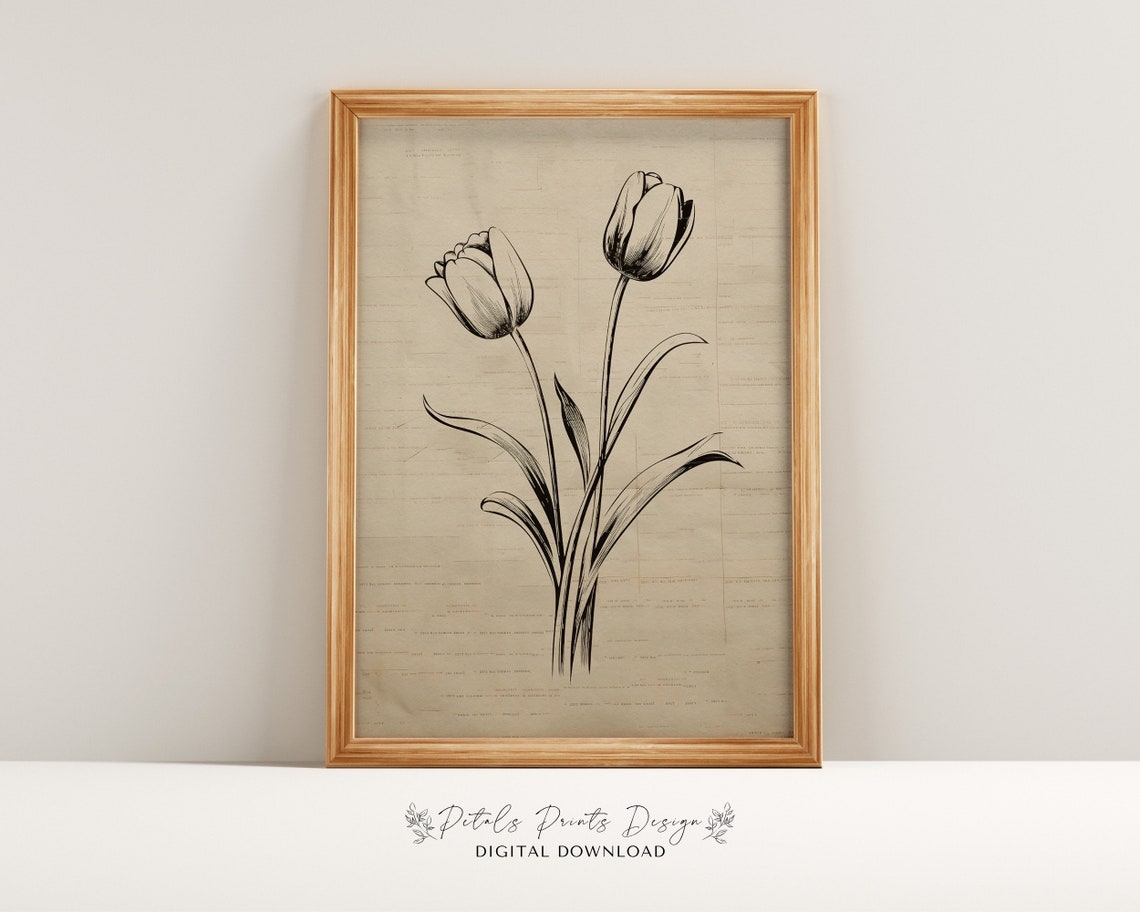 Tulip Ink Sketch on Vintage Book Page Botanical Line Art Poster
