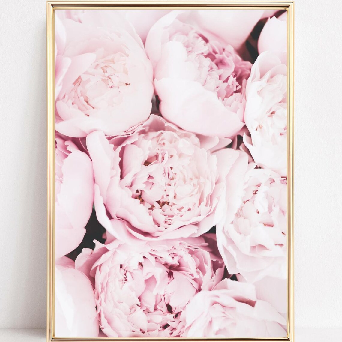 Soft Pink Peonies Close Up Botanical Photograph Wall Decor Poster