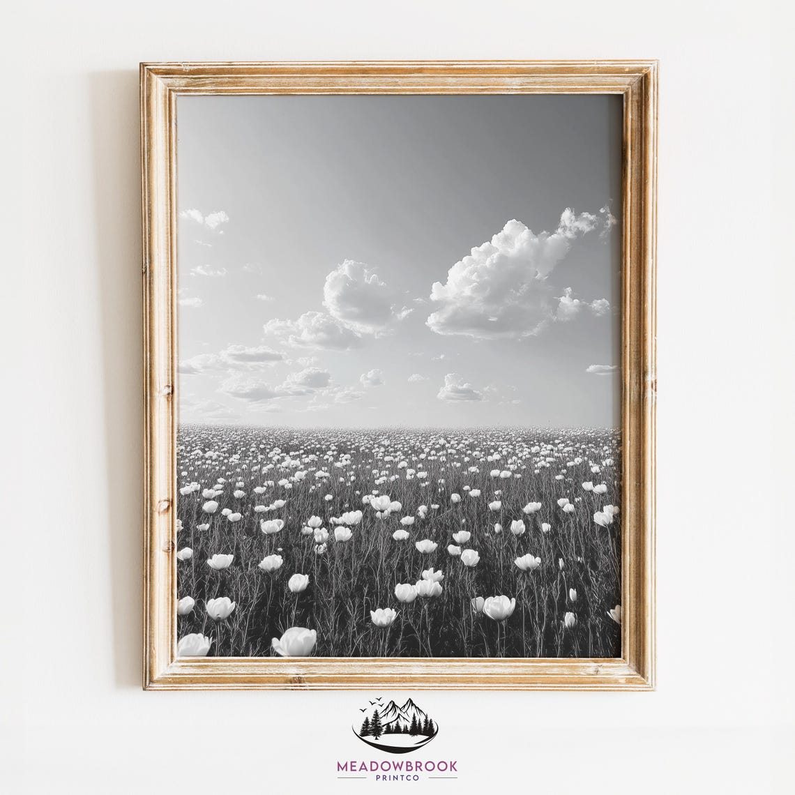 Black and White Tulip Flower Field Cloudy Sky Minimalist Art Print
