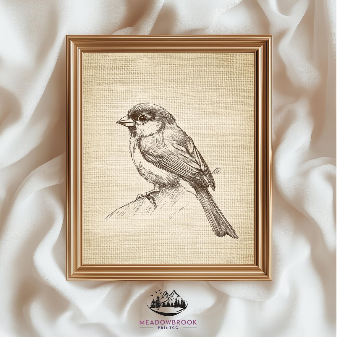 Rustic Sparrow Pencil Sketch Art Print, Farmhouse Nature