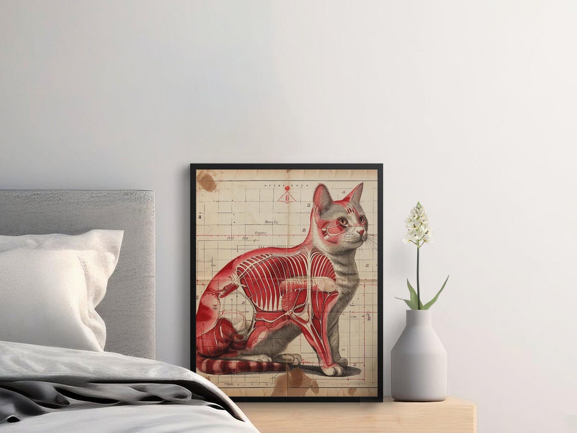 Vintage Cat Anatomy Chart Muscle and Bone Diagram Scientific Poster - Image 2
