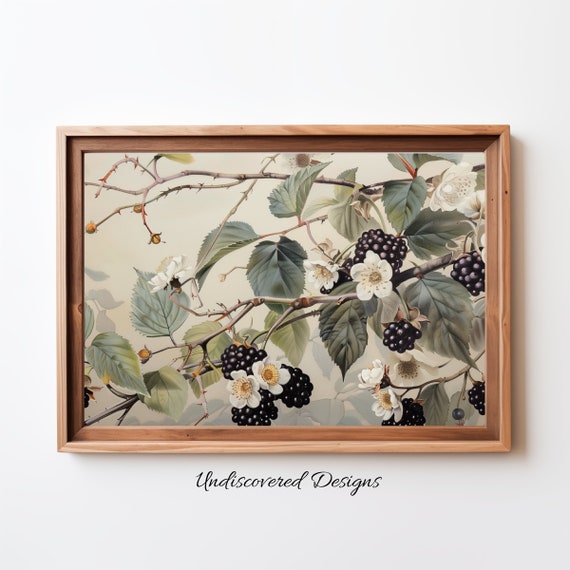 Vintage Blackberry Still Life Art Print Botanical Wall Decor