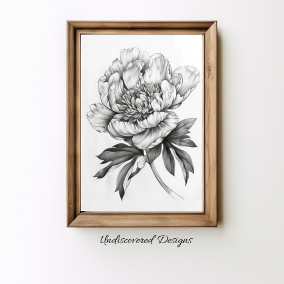 Peony Botanical Sketch Art Printout Wall Prints Print Vintage Pencil Drawing