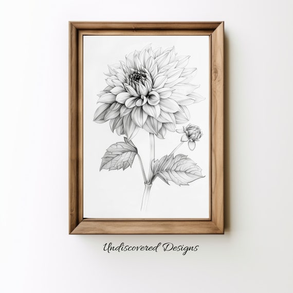 Daliah Botanical Sketch Art Printout Wall Prints Print Vintage Pencil Drawing