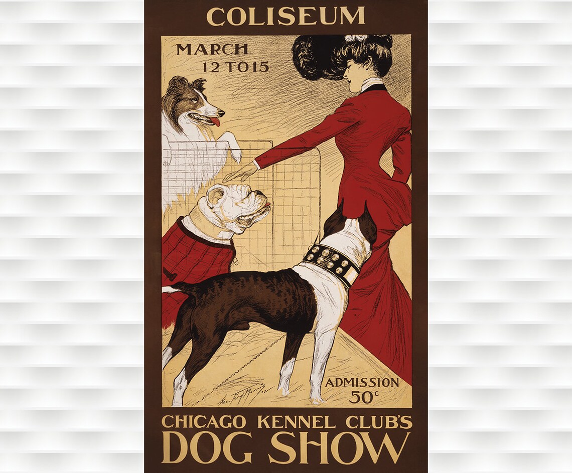 Historic Chicago Kennel Club Dog Show Coliseum Vintage Poster
