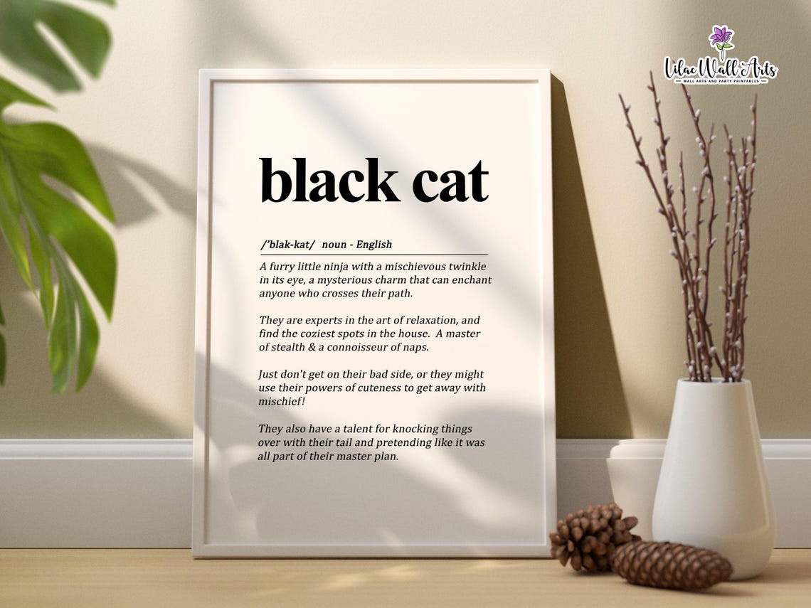 Black Cat Definition Funny Cat Lover Dictionary Typography Poster - Image 3